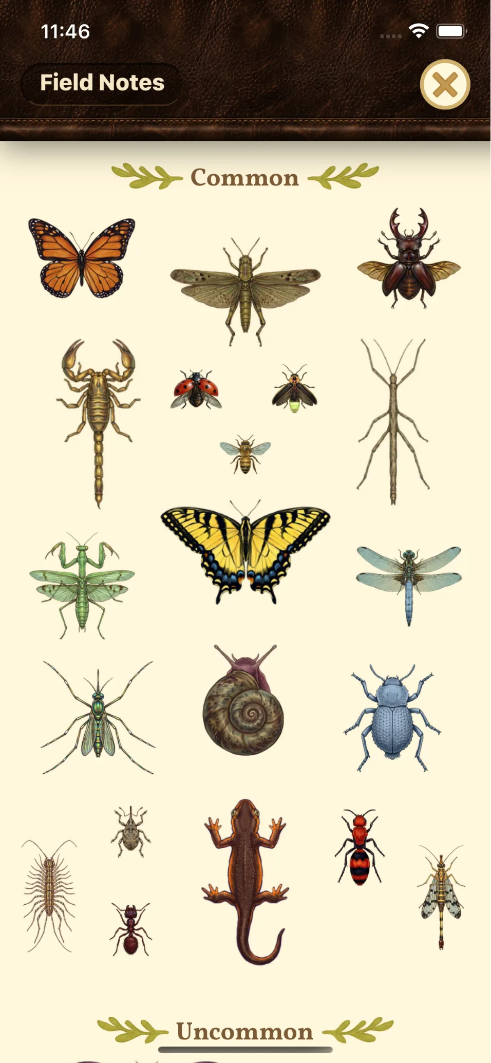 The Field Notes collection grid of common critters (monarch butterfly, grasshopper, stag beetle, scorpion, ladybird, firefly, honeybee, stick insect, praying mantis, tiger swallowtail, dragonfly, snail and more) with an Uncommon section below.