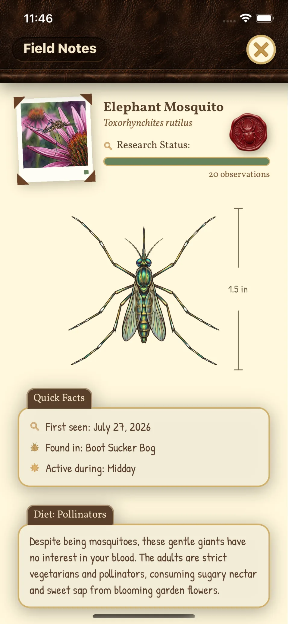 The Elephant Mosquito field note: Toxorhynchites rutilus, 1.5 inches long, first seen in Boot Sucker Bog, active at midday, with a note that despite being mosquitoes they are pollinators with no interest in your blood.
